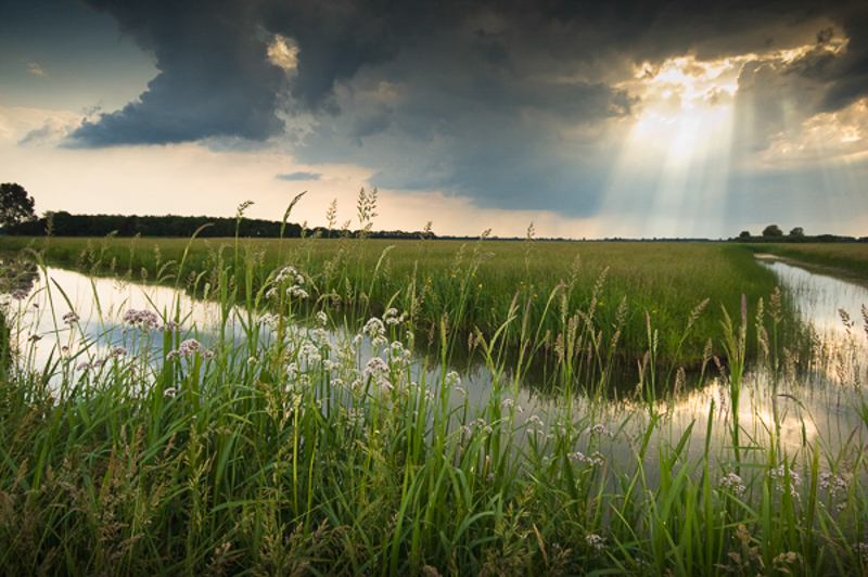 Haulerpolder Haule